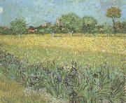 Vincent Van Gogh View of Arles with Irises in the Foreground (nn04) oil painting reproduction